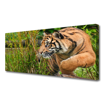 Tablou pe panza canvas Tigru Animale Maro Negru