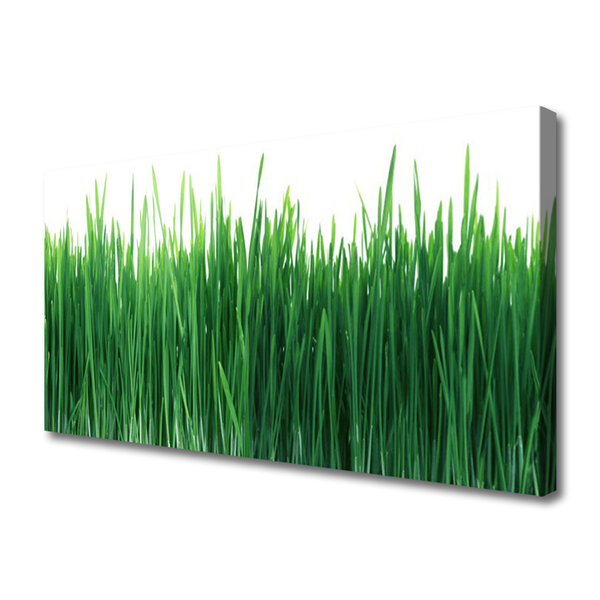 Tablou pe panza canvas Weed Natura verde