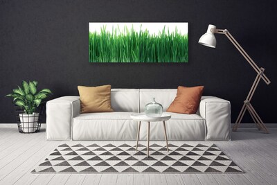 Tablou pe panza canvas Weed Natura verde