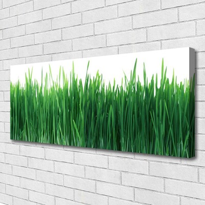 Tablou pe panza canvas Weed Natura verde