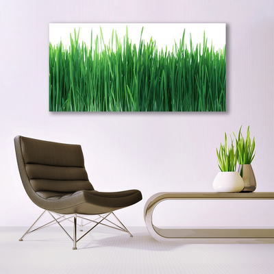 Tablou pe panza canvas Weed Natura verde