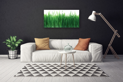 Tablou pe panza canvas Weed Natura verde