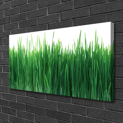 Tablou pe panza canvas Weed Natura verde