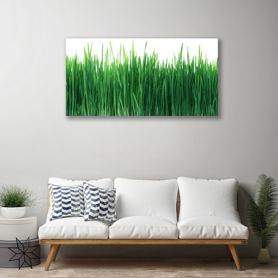 Tablou pe panza canvas Weed Natura verde