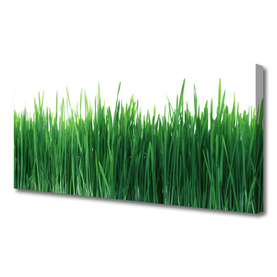 Tablou pe panza canvas Weed Natura verde