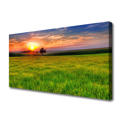 Tablou pe panza canvas Meadow Sun Natura Verde Galben Violet