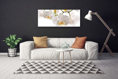 Tablou pe panza canvas Flori Floral alb