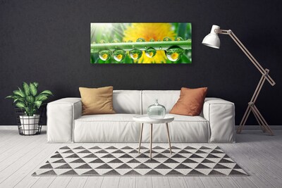 Tablou pe panza canvas Stem Picături de rouă Floral Verde