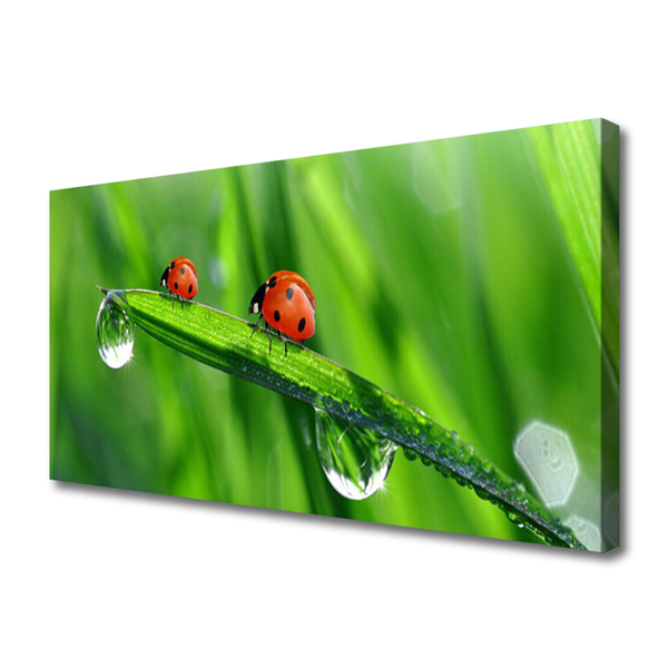 Tablou pe panza canvas Ladybird Beetle Floral Verde Roșu Negru