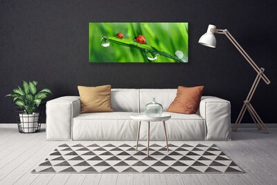 Tablou pe panza canvas Ladybird Beetle Floral Verde Roșu Negru