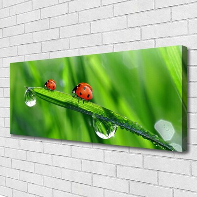 Tablou pe panza canvas Ladybird Beetle Floral Verde Roșu Negru