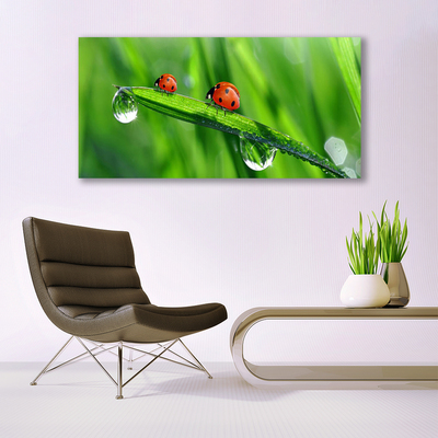 Tablou pe panza canvas Ladybird Beetle Floral Verde Roșu Negru