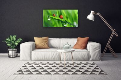 Tablou pe panza canvas Ladybird Beetle Floral Verde Roșu Negru