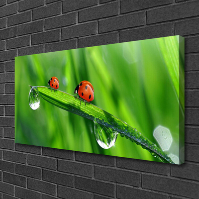 Tablou pe panza canvas Ladybird Beetle Floral Verde Roșu Negru