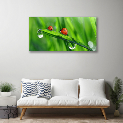 Tablou pe panza canvas Ladybird Beetle Floral Verde Roșu Negru