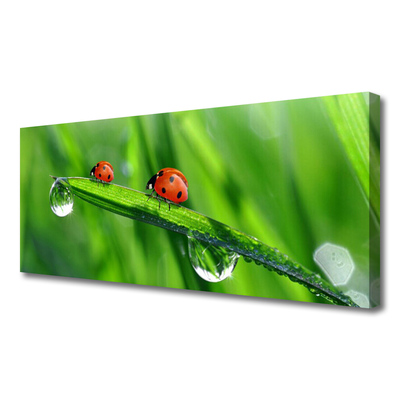 Tablou pe panza canvas Ladybird Beetle Floral Verde Roșu Negru