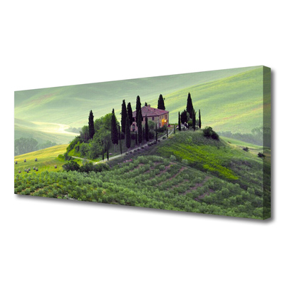 Tablou pe panza canvas Meadow Copaci Natura verde