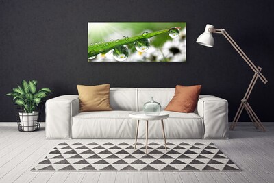 Tablou pe panza canvas Iarbă Picături de rouă Natura verde