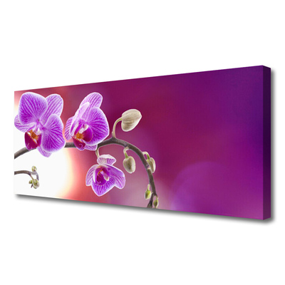 Tablou pe panza canvas Flori roz Floral