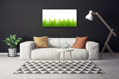 Tablou pe panza canvas Weed Natura verde