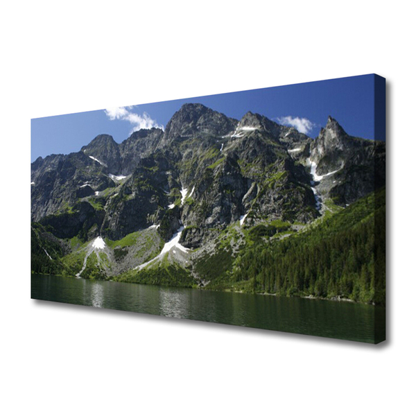 Tablou pe panza canvas Munții Lake Forest Peisaj Verde Gri