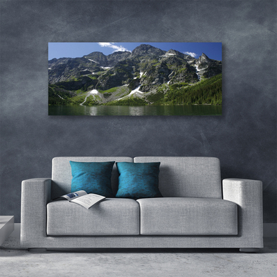 Tablou pe panza canvas Munții Lake Forest Peisaj Verde Gri