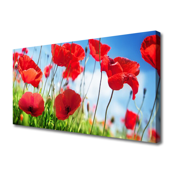 Tablou pe panza canvas Poppy Iarbă Natura Roșu Verde