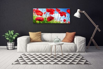 Tablou pe panza canvas Poppy Iarbă Natura Roșu Verde