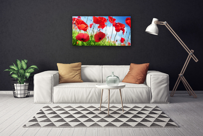 Tablou pe panza canvas Poppy Iarbă Natura Roșu Verde