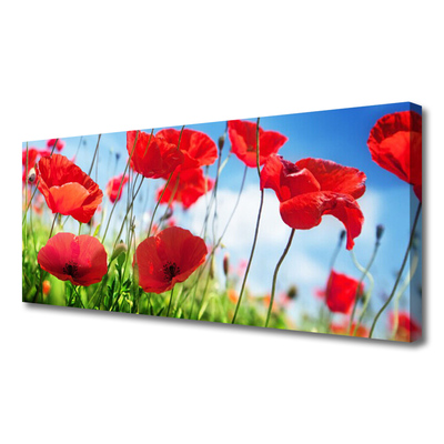 Tablou pe panza canvas Poppy Iarbă Natura Roșu Verde