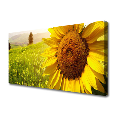 Tablou pe panza canvas Floarea soarelui Floral Galben Maro