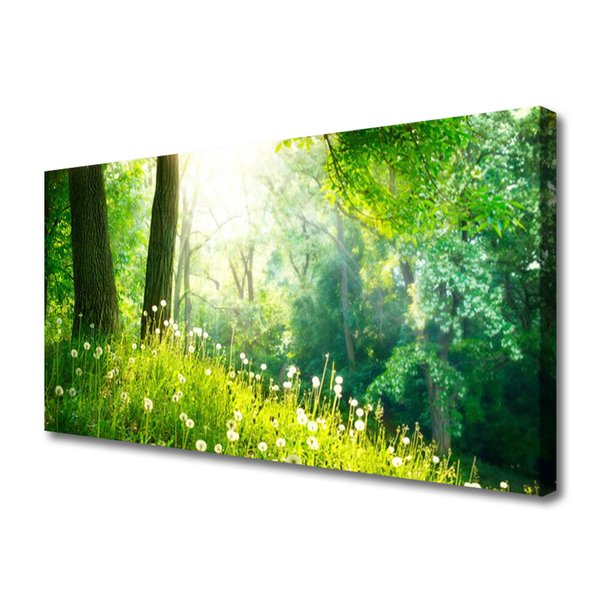 Tablou pe panza canvas Meadow Natura verde