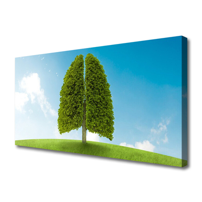 Tablou pe panza canvas Iarbă copac verde natura