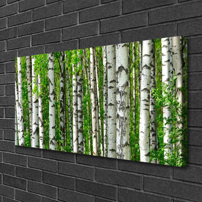 Tablou pe panza canvas Natural Pădurea Neagră Alb Verde