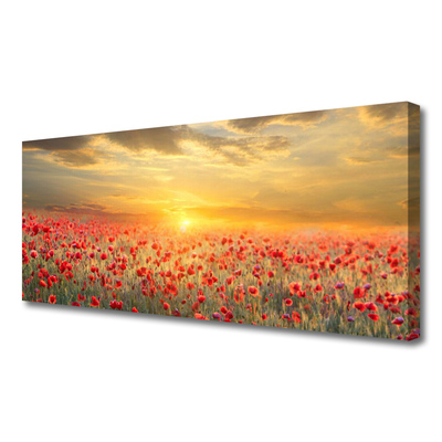 Tablou pe panza canvas Sun Meadow Poppy Flori Natura Galben Roșu Verde