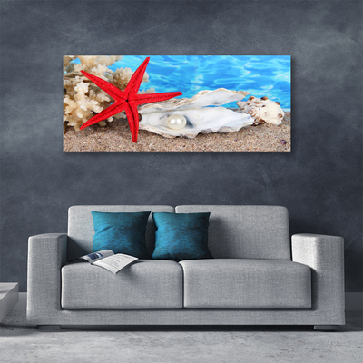 Tablou pe panza canvas Scoici Starfish Natura Roșu Alb