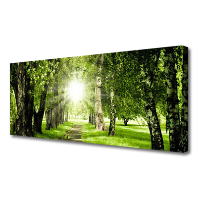 Tablou pe panza canvas Forest Soare Potecă Natura Brun Verde Galben