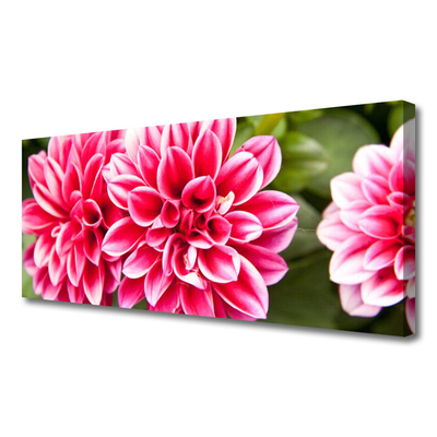 Tablou pe panza canvas Flori Floral Roșu Alb