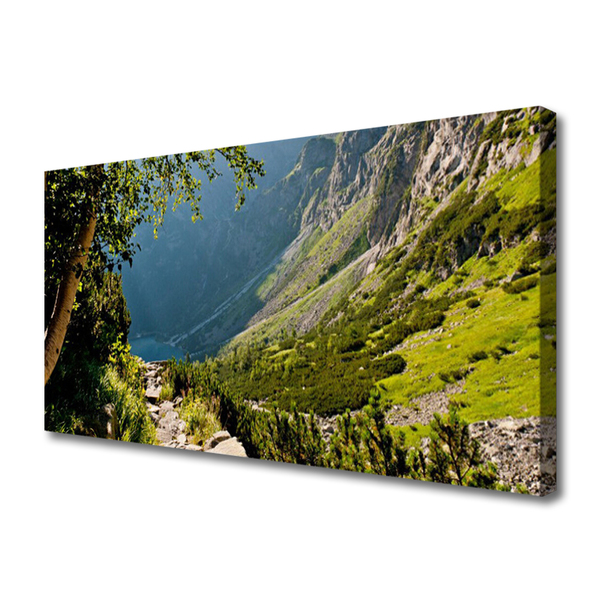 Tablou pe panza canvas Mountain Natural Pădurea Verde Gri