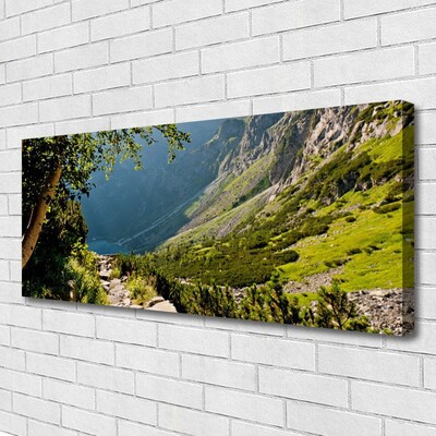 Tablou pe panza canvas Mountain Natural Pădurea Verde Gri