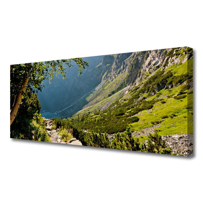 Tablou pe panza canvas Mountain Natural Pădurea Verde Gri