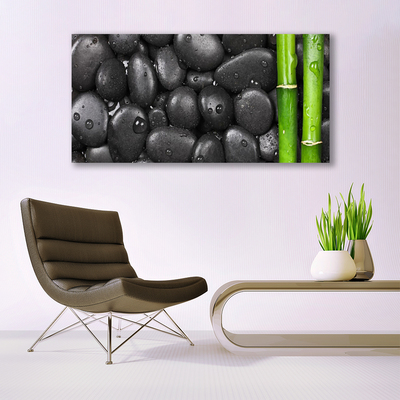 Tablou pe panza canvas Bamboo Stalk Stones Arta Verde Negru