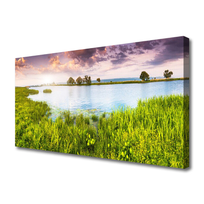 Tablou pe panza canvas Grass Lake Natura Verde Albastru