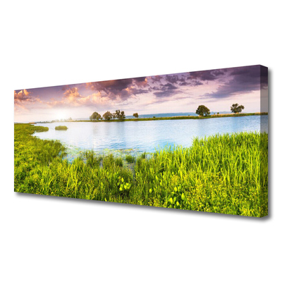 Tablou pe panza canvas Grass Lake Natura Verde Albastru