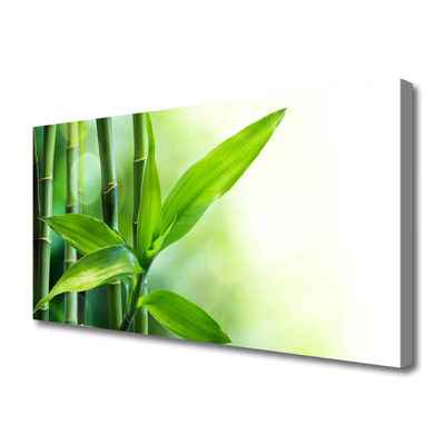 Tablou pe panza canvas Bamboo Canes Floral Verde