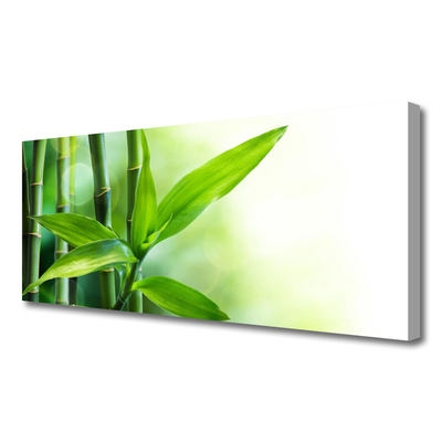 Tablou pe panza canvas Bamboo Canes Floral Verde