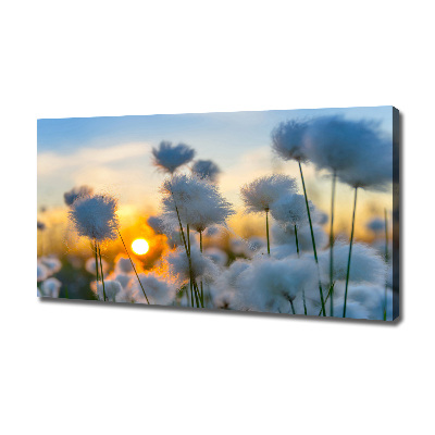 Tablou pe panza canvas Flori Floral alb