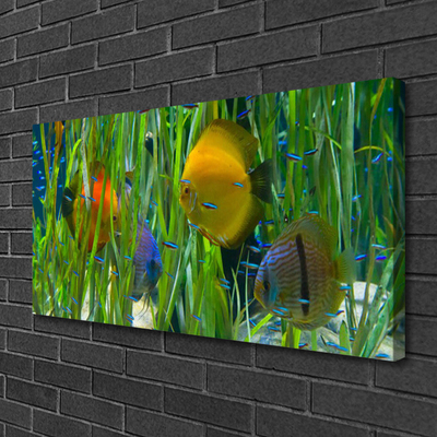 Tablou pe panza canvas Pește Natura galben