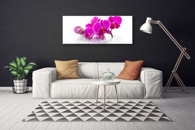 Tablou pe panza canvas Flori roz Floral