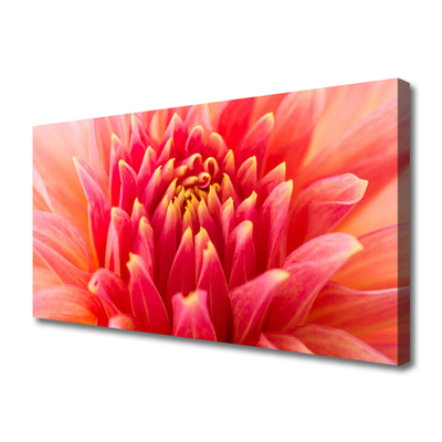 Tablou pe panza canvas Florale flori Orange